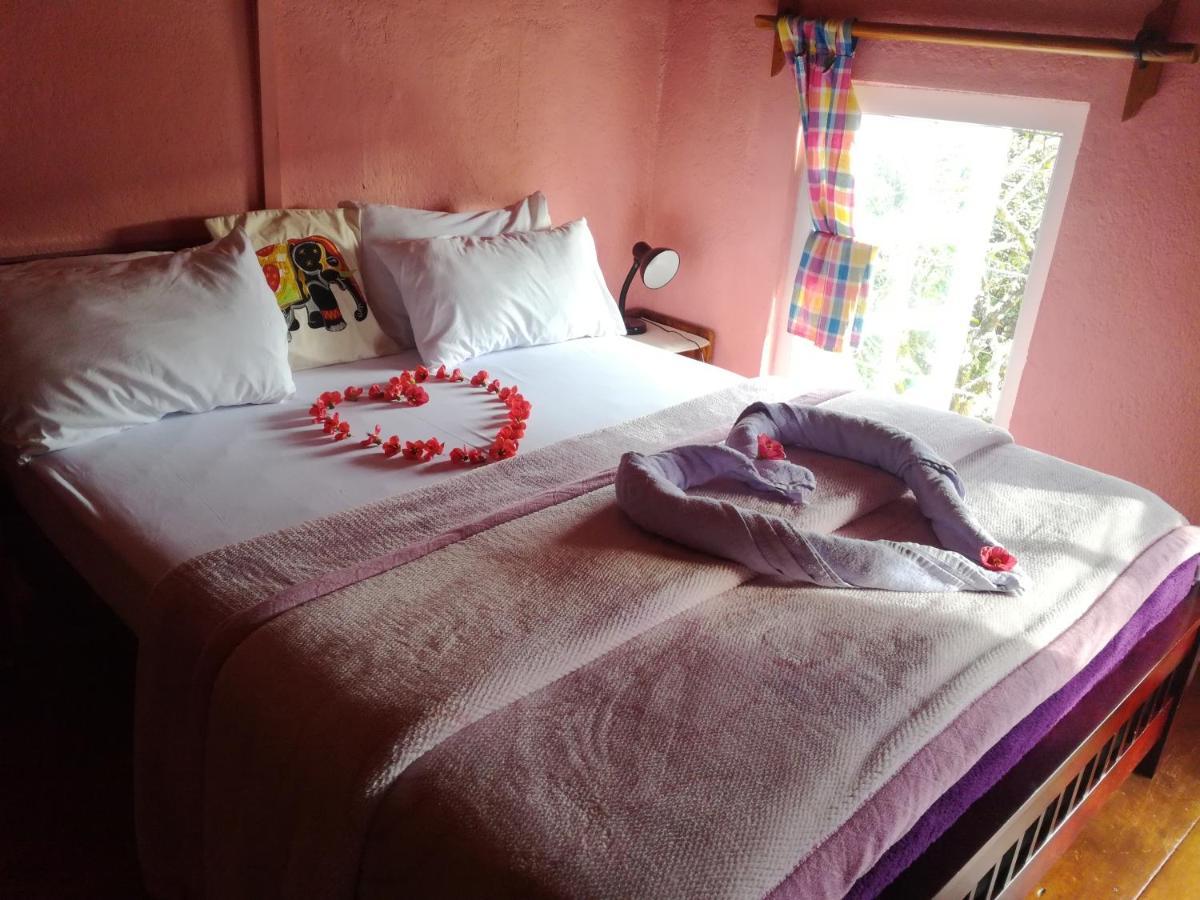Sincere Wilderness Home Stay Nuwara Eliya Exteriér fotografie