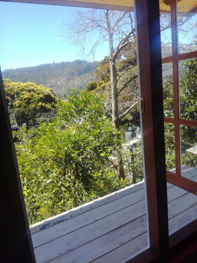 Sincere Wilderness Home Stay Nuwara Eliya Exteriér fotografie